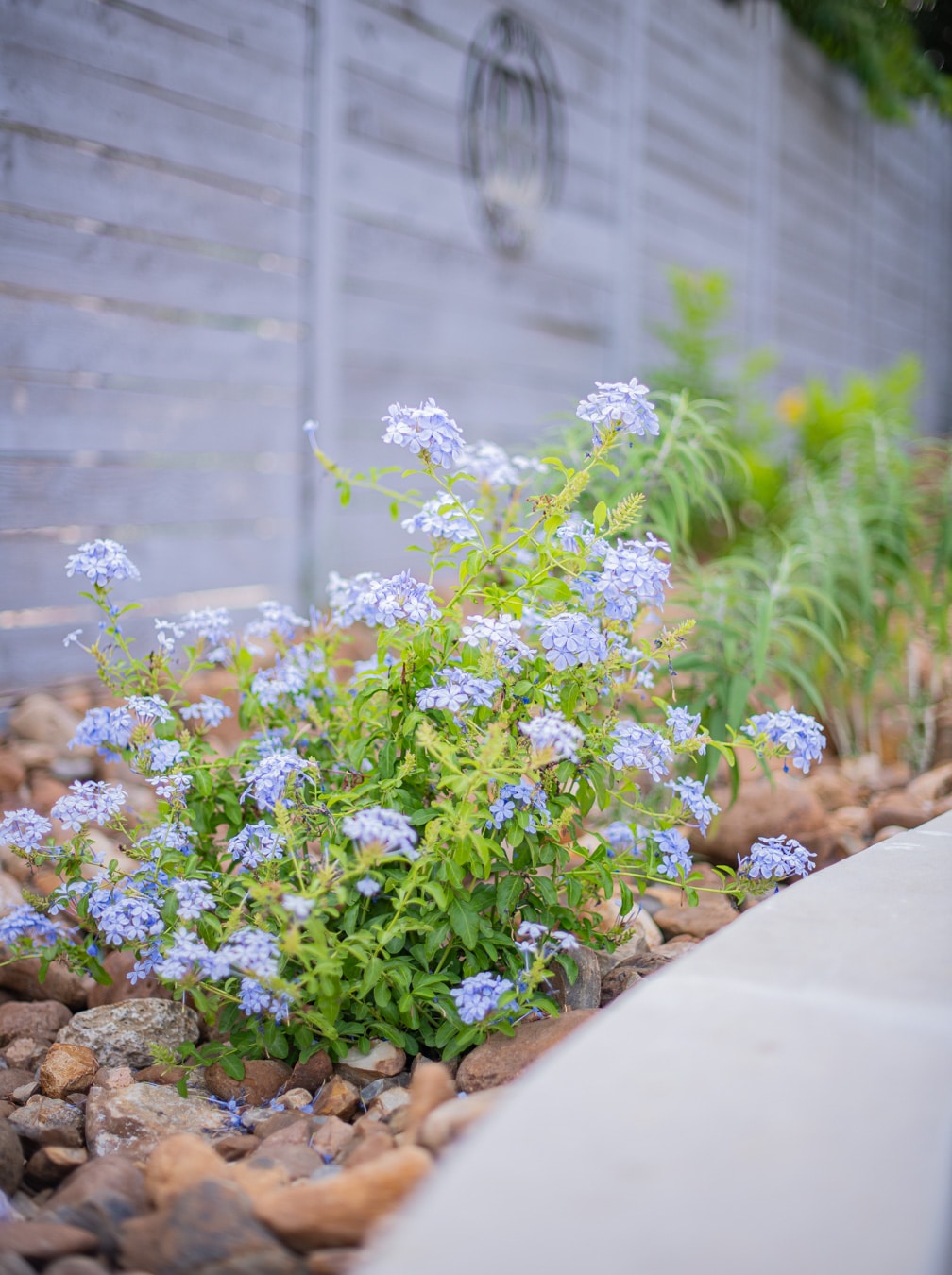 Outdoor space designed and built by Studio Rostrata